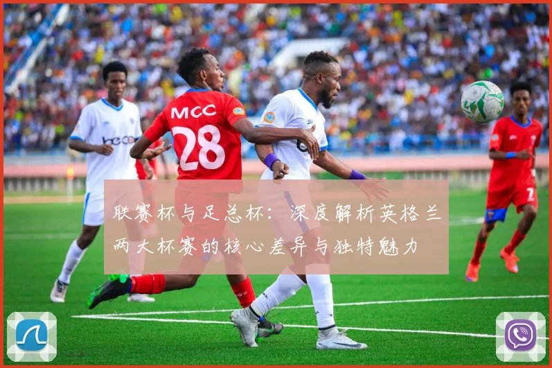 联赛杯与足总杯：深度解析英格兰两大杯赛的核心差异与独特魅力