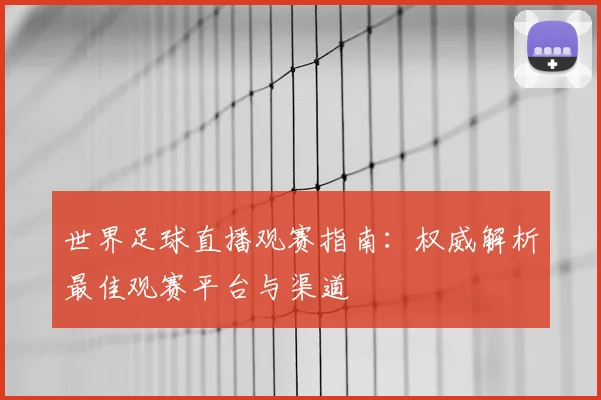 世界足球直播观赛指南：权威解析最佳观赛平台与渠道